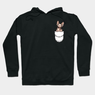 Funny Sphynx Pocket Cat Hoodie